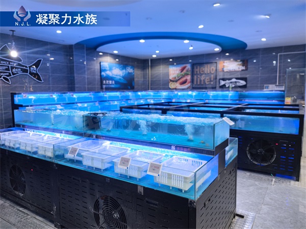 成(chéng)都(dōu)魚缸廠家