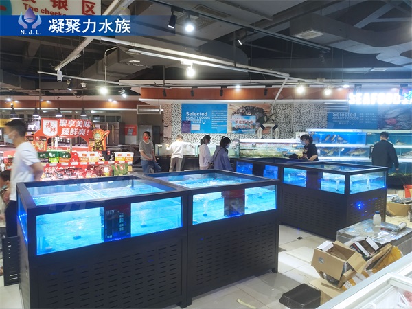 成(chéng)都(dōu)魚缸廠家