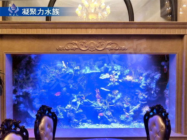 大型觀賞魚缸廠家