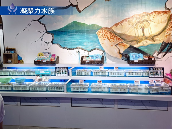 商超魚缸廠家出售