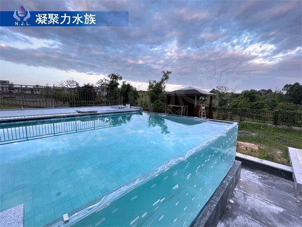 無邊際遊泳池設計廠家