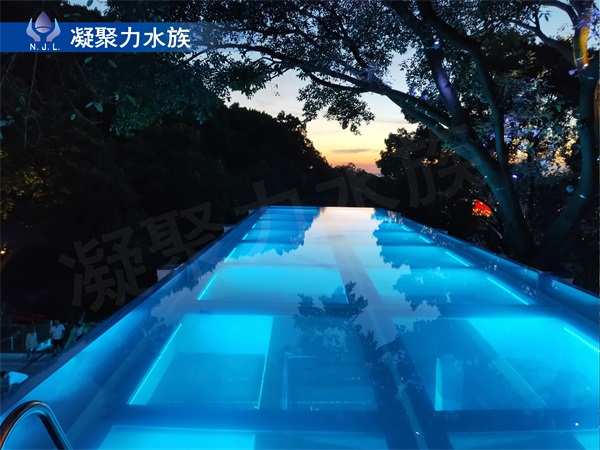 無邊際遊泳池廠家供應