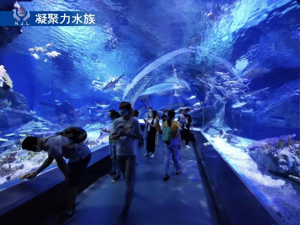 海洋館設計建設