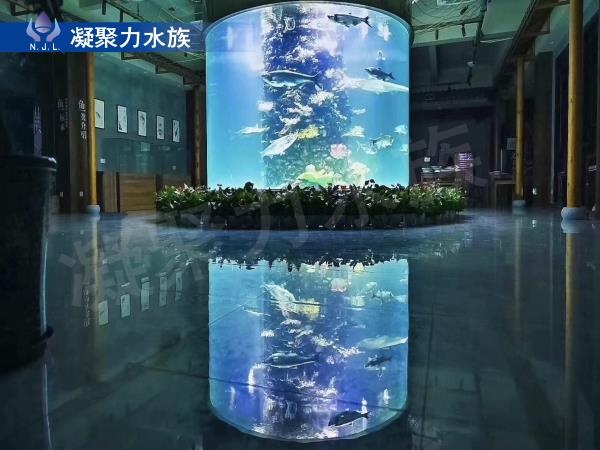 大型觀賞魚缸定做